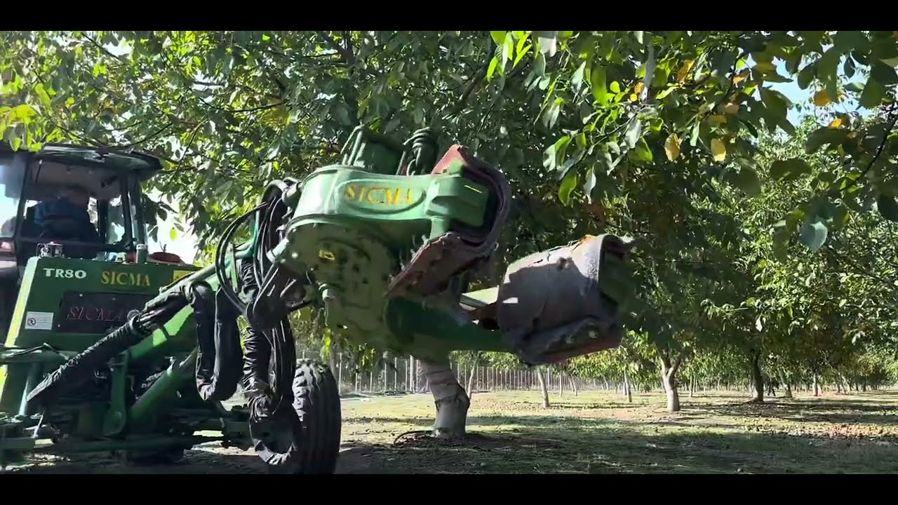 Комбайн за бране Sicma TR80