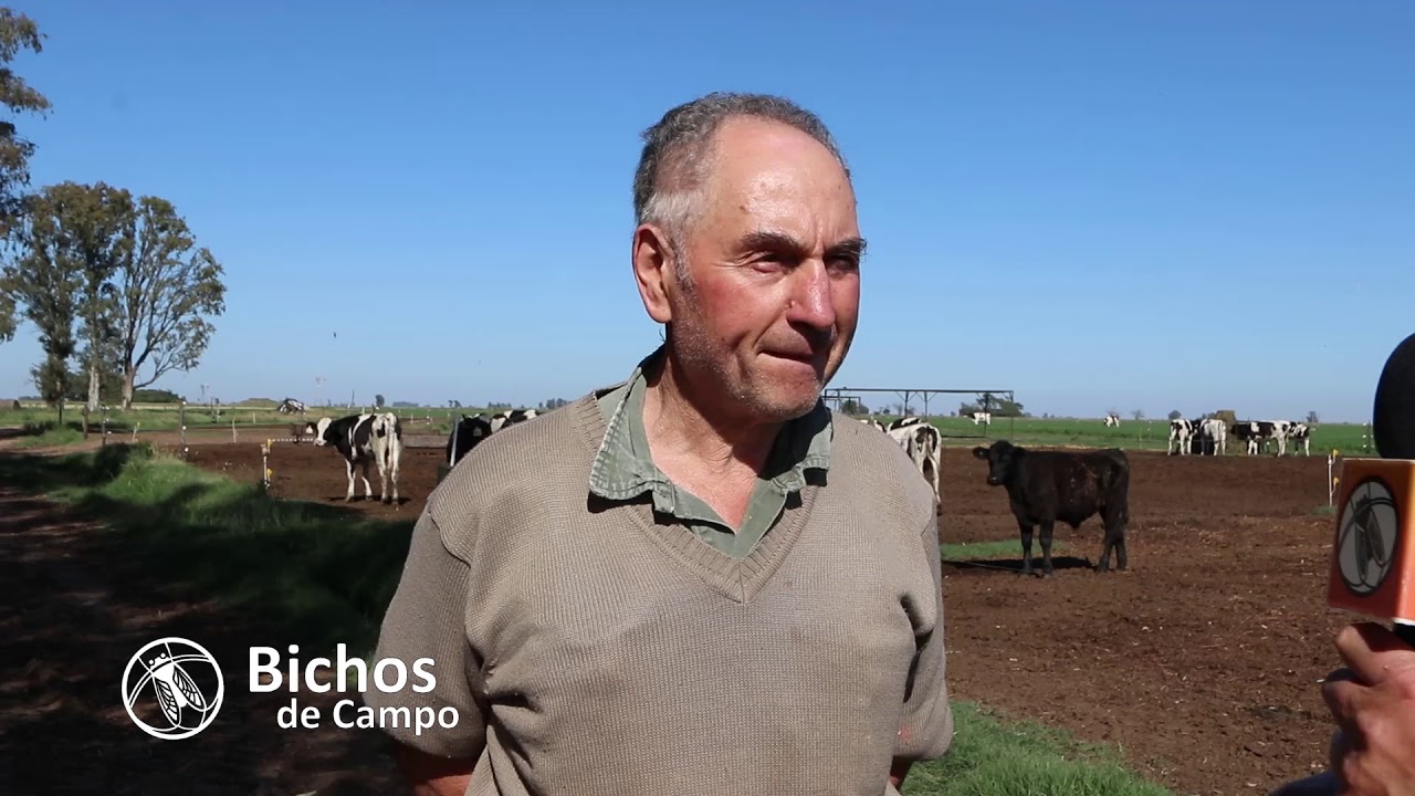 Rubén Carello, tambero en Emilio V. Bunge, Bs.As.