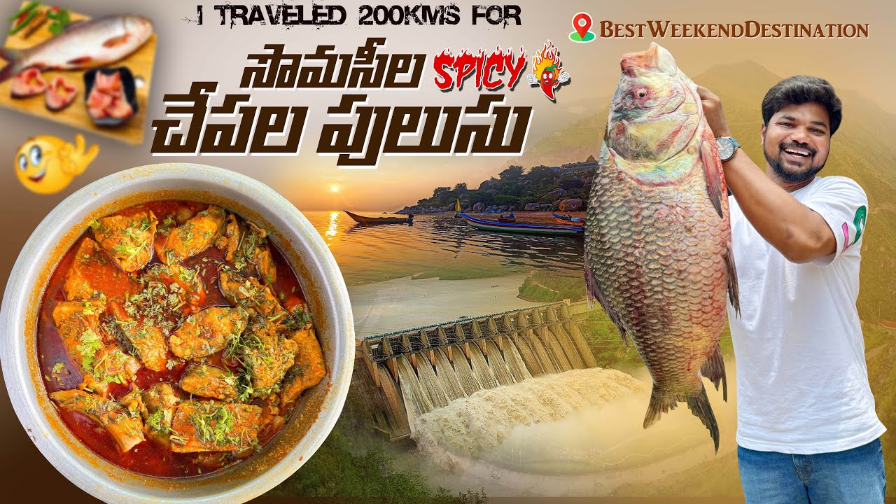Somasila చేపల పులుసు తిననీకే 200kms పోయిన👌|Ft.5Monkeys Food #chepalapulusu #fish #food