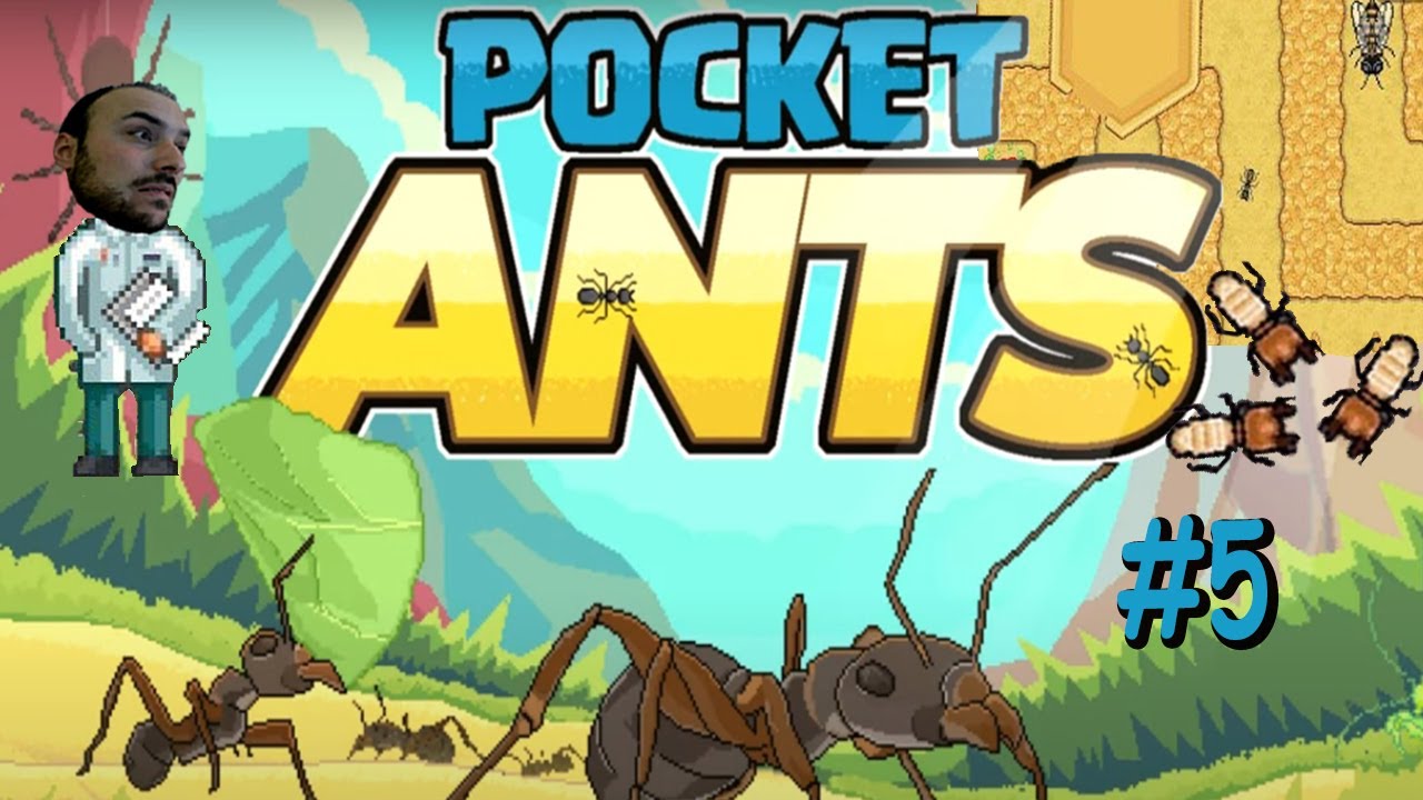 ARI LABİRENTİ VE REÇİNE TOPLAMA STİLİ - POCKET ANTS # 5