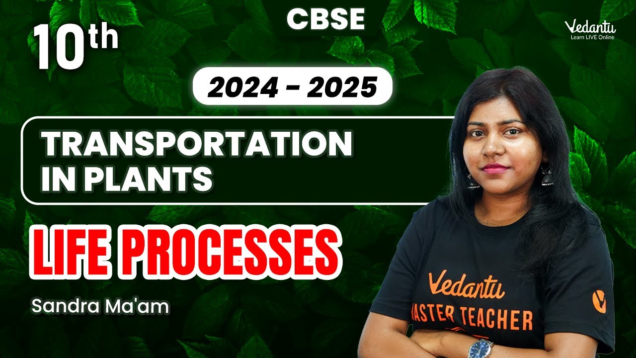 Transportation in Plants | Life Processes | Class 10 Biology | CBSE 2024 25 | Sandra Ma'am