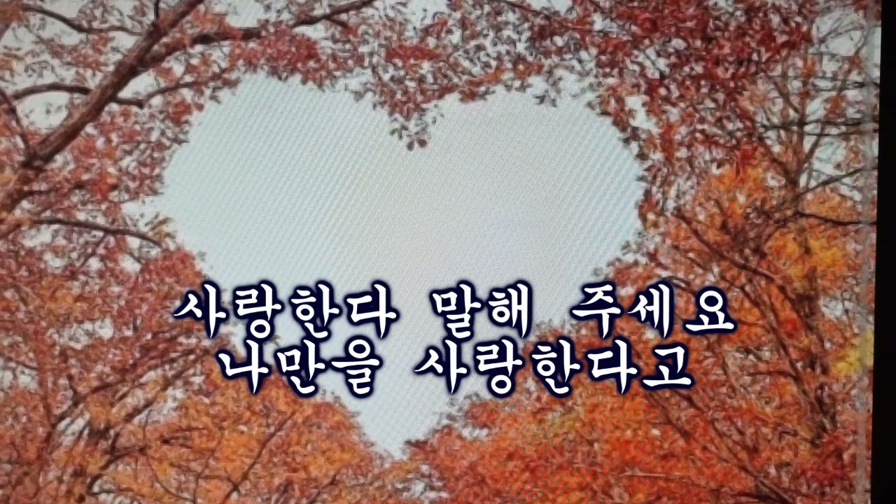 사랑하나봐