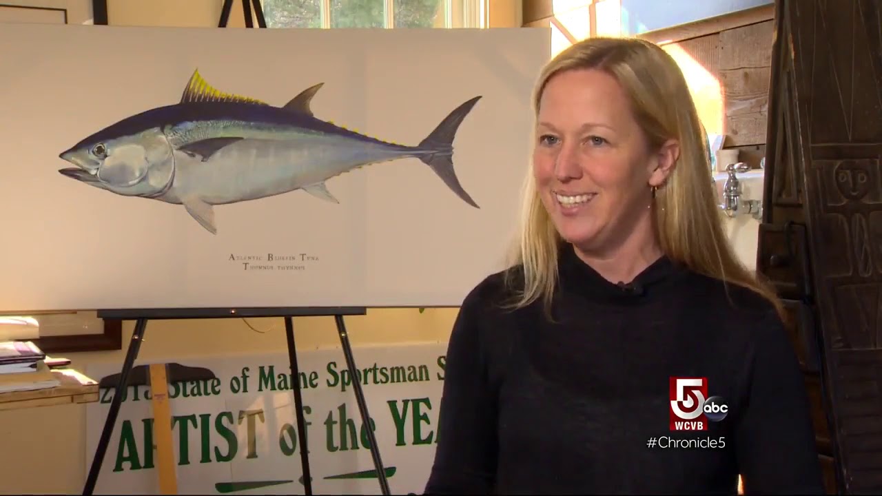 Discover the beauty of Maine's wildlife