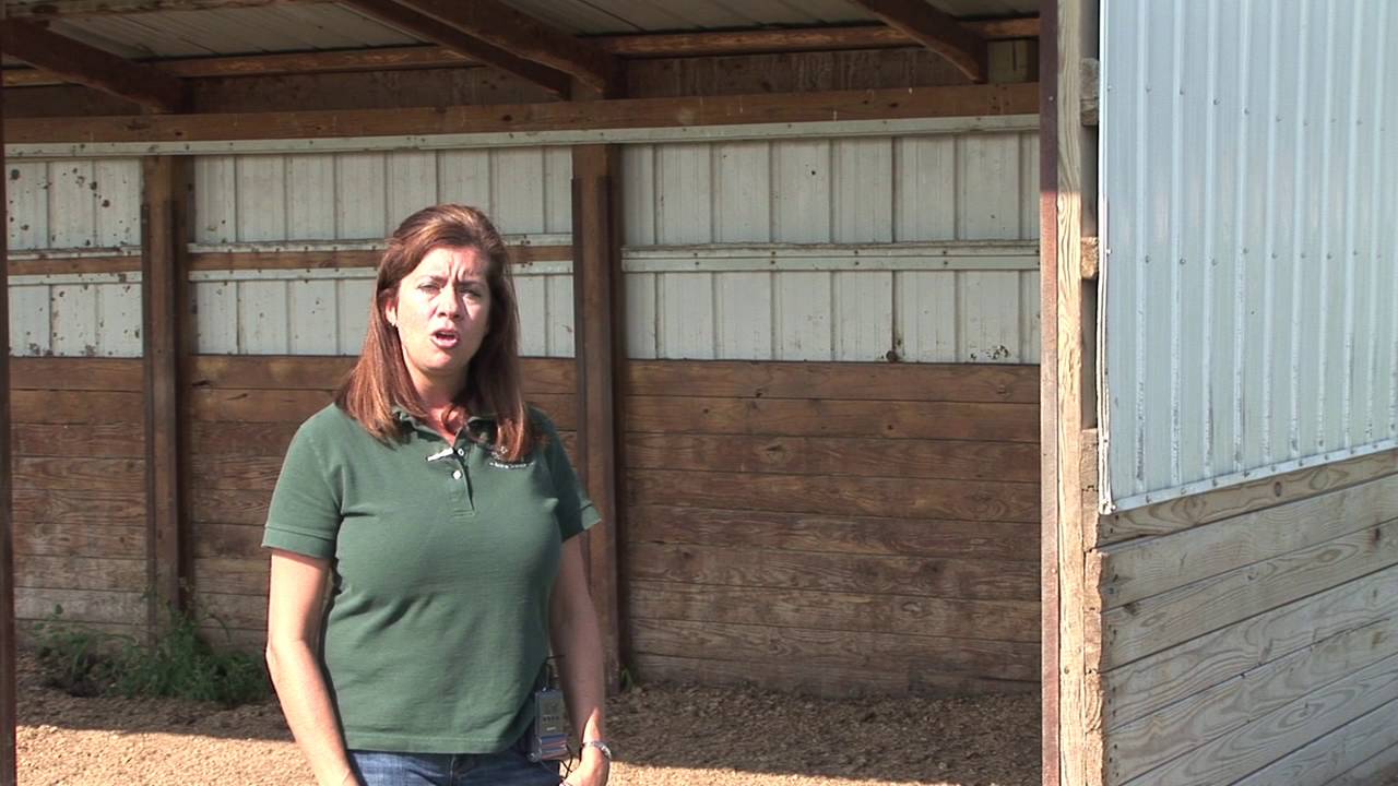 Horse Pasture: Using Sheds In a Pasture