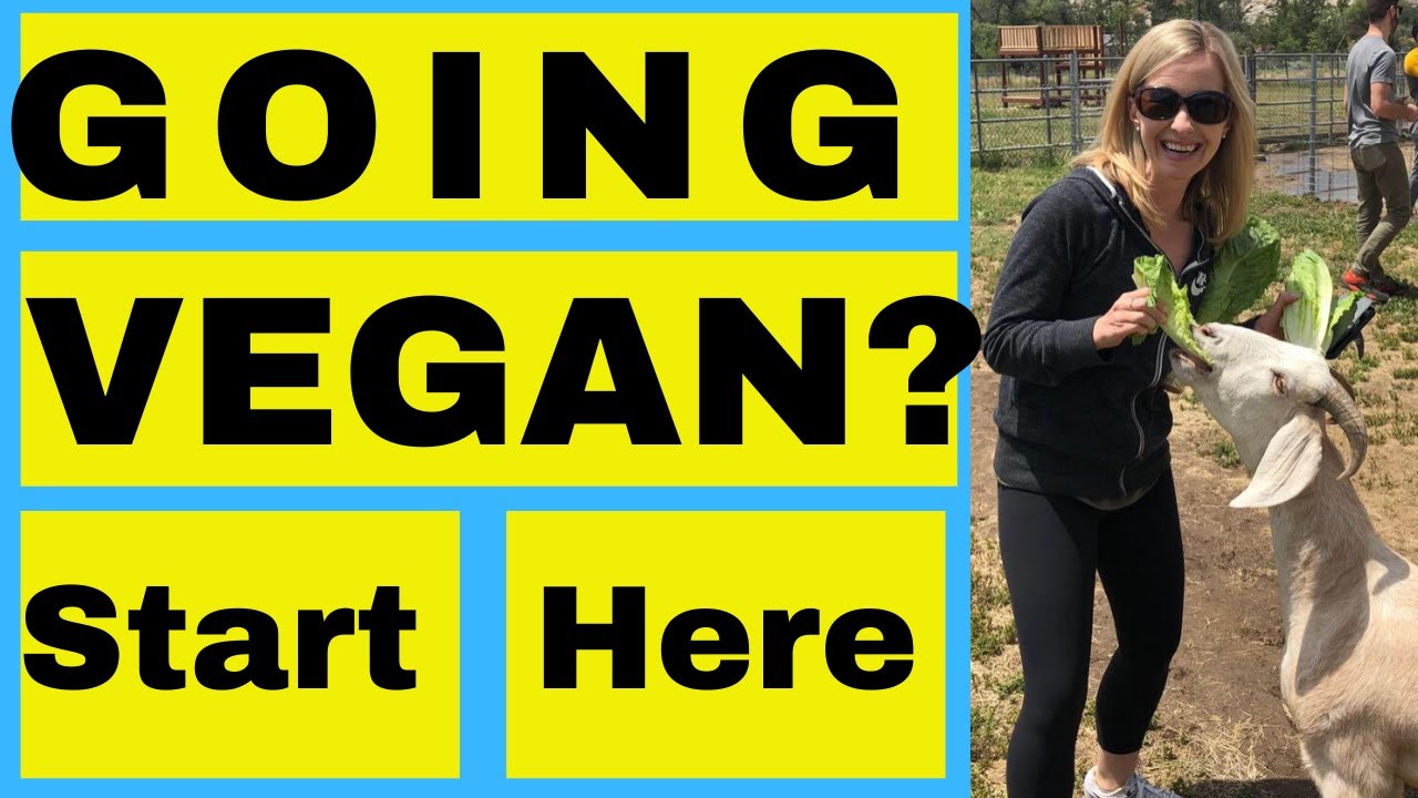 10 Major Tips for New Vegans (START HERE!)