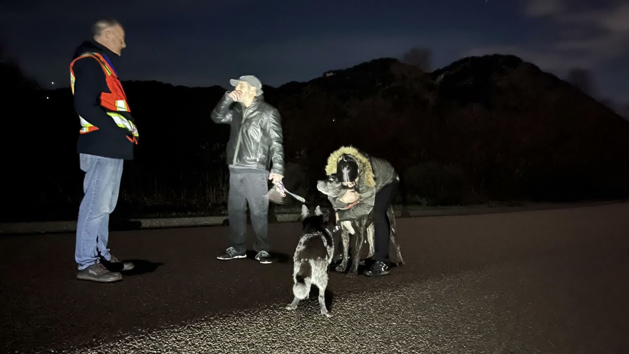 DJI M3T Drone Search for Theo