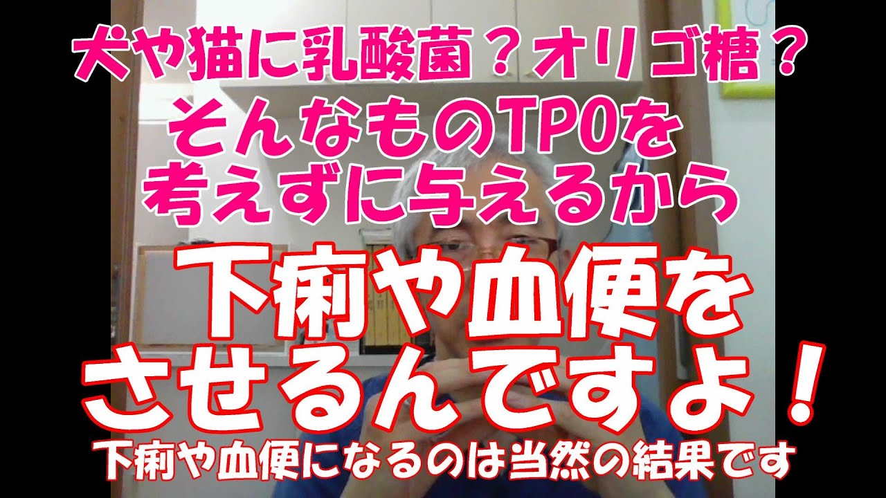 【犬猫下痢】乳酸菌・オリゴ糖を犬猫に与えないで！TPOを無視しちゃダメ！絶対！（再UP/チャプター付）