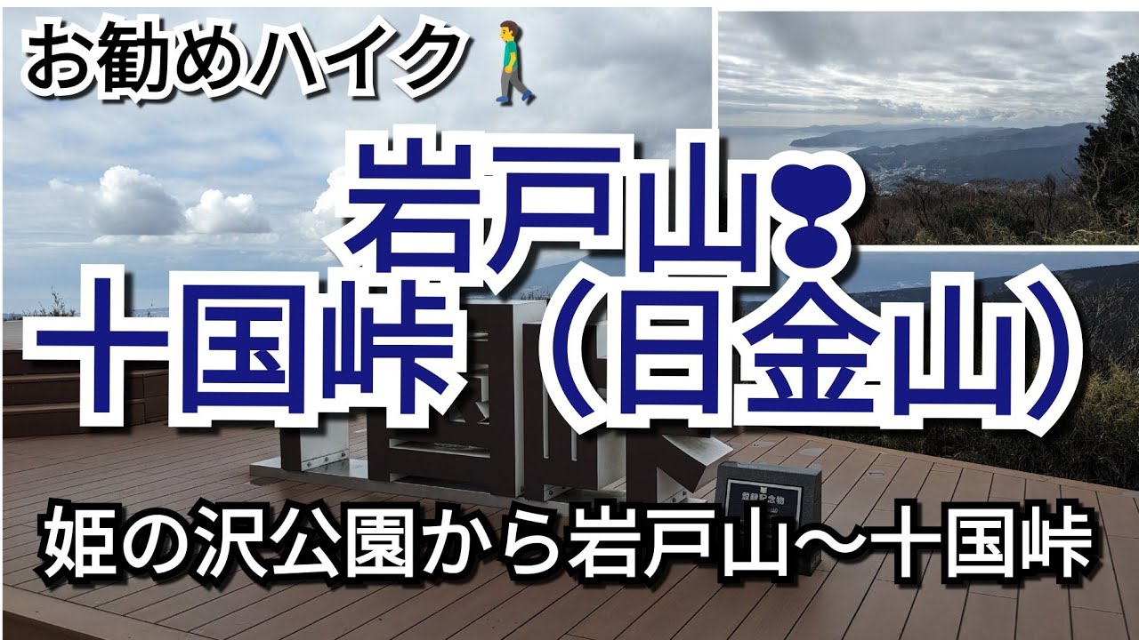 姫の沢公園から岩戸山・十国峠（日金山）