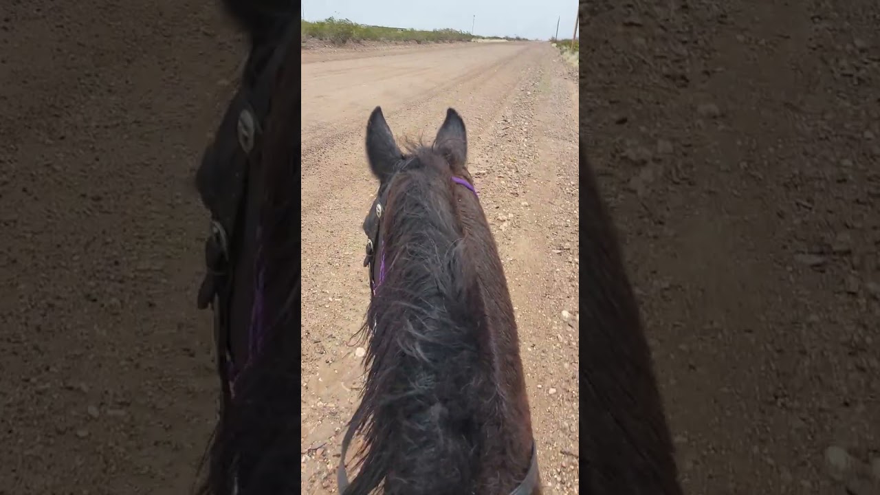 Rainy Day Ride Continued 