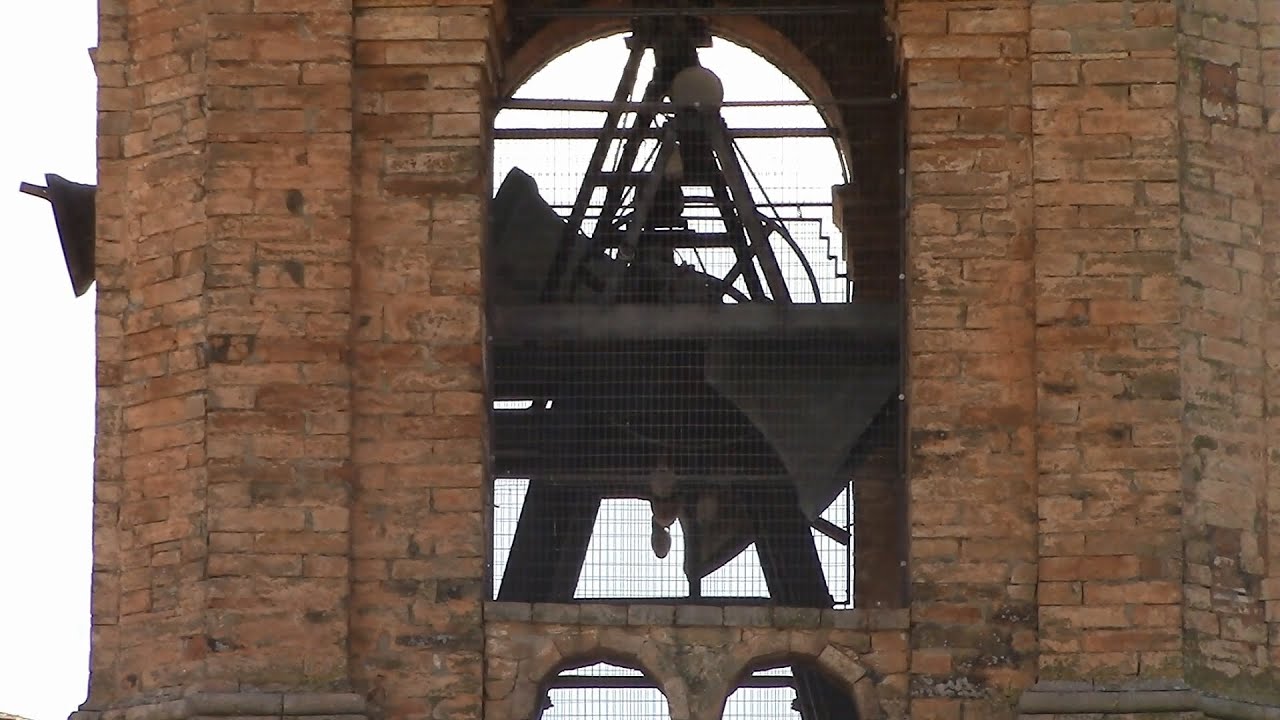 Campane della Parrocchia di San Vitale in Viole di Assisi (PG) (02) v.423