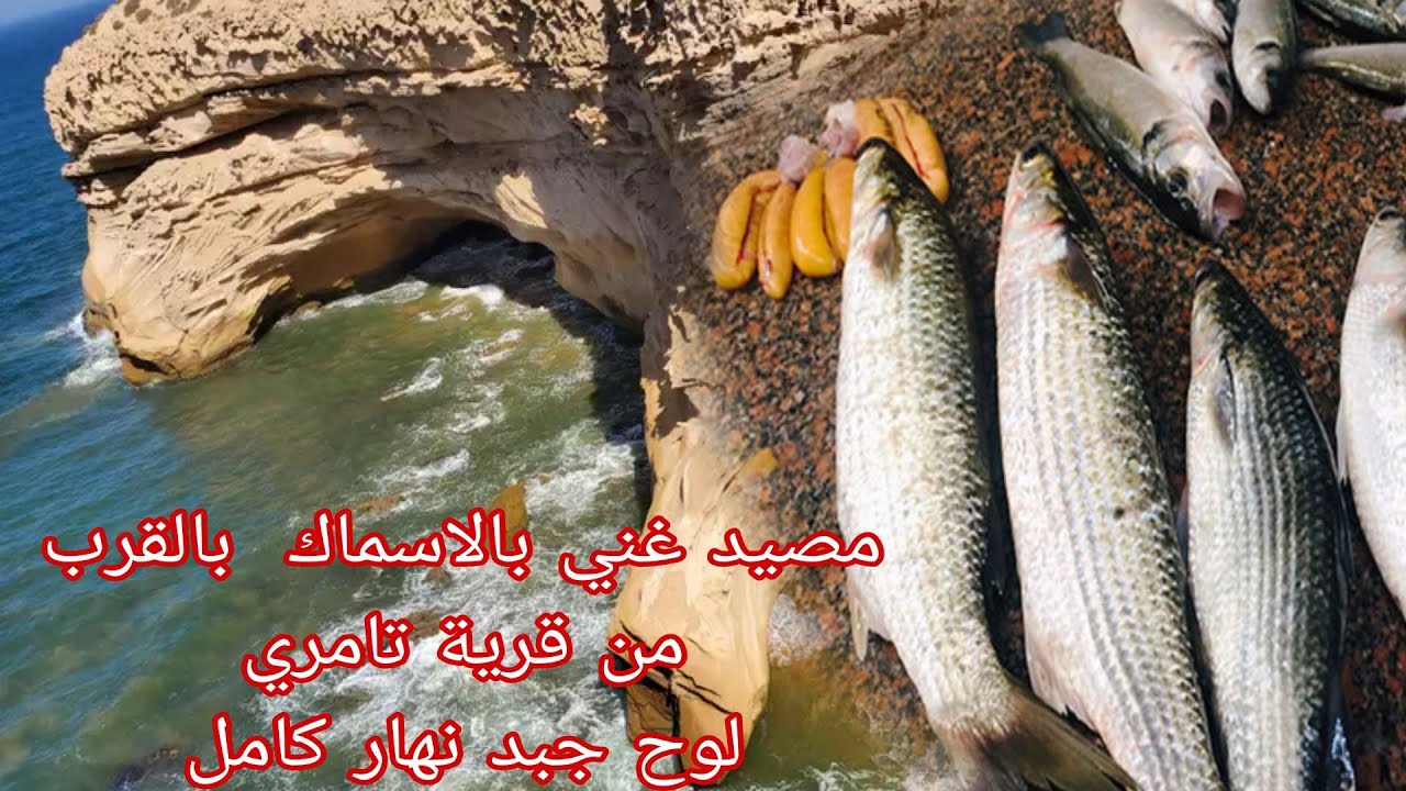الجزء الثاني من مصيد ابومنجل او تيملالين شمال تامري لوح او جبد