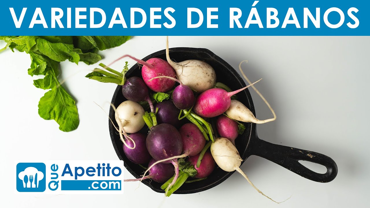 6 Variedades de R&aacute;banos | QueApetito