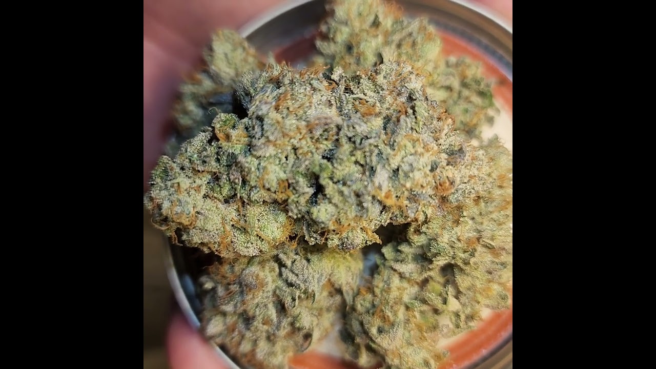 Pop Rox poprox strain instagram @transcendent420