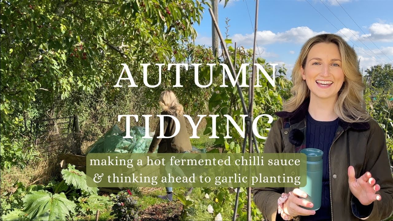 УЧАСТОК РАСЧИЩЕН 🍁 Октябрьский видеоблог о садоводстве №22