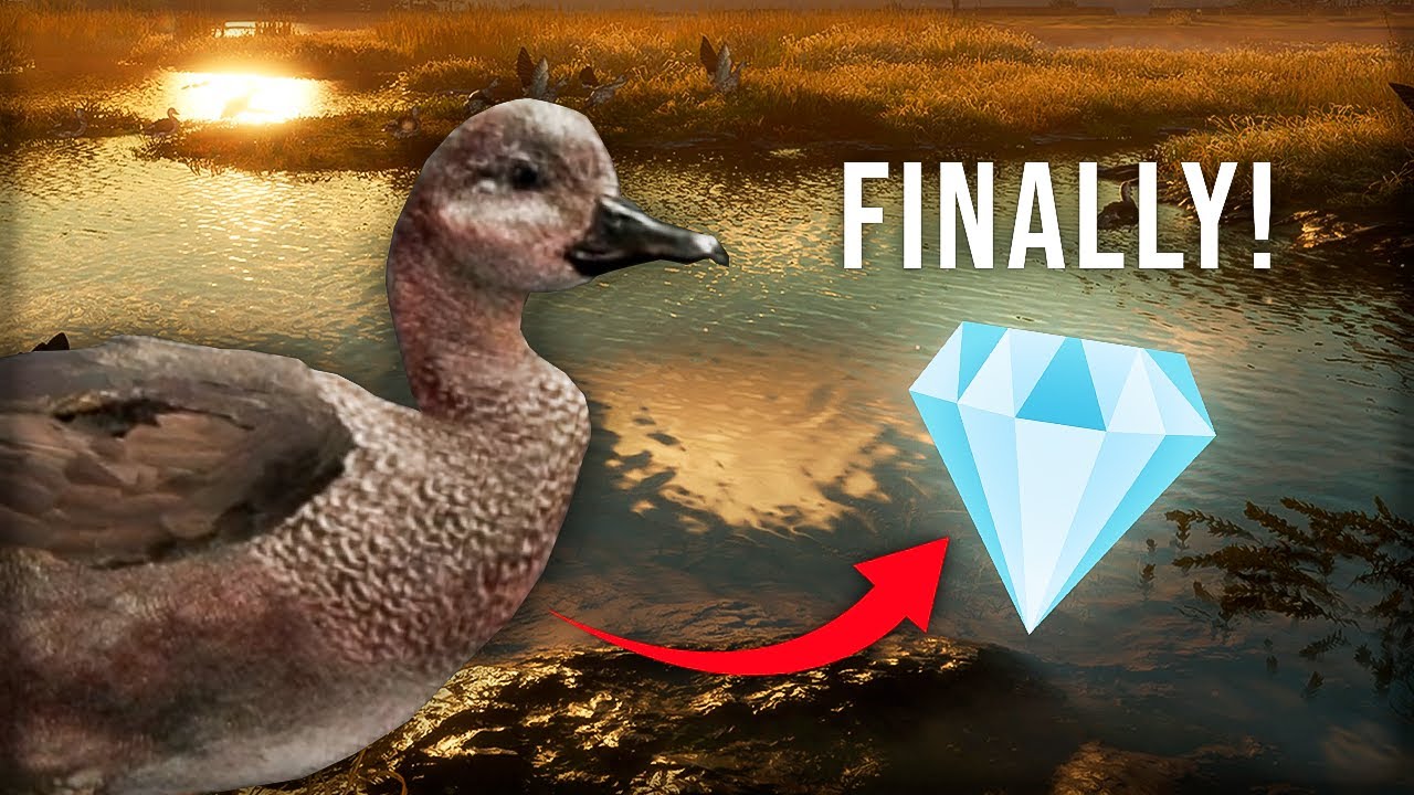 Getting Closer! *DIAMOND* Gadwall On Salzwiesen Park & More! | theHunter: Call of the Wild