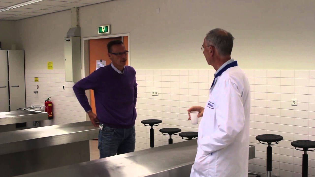 pesten op het werk