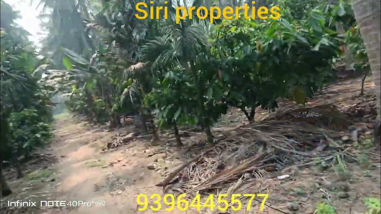 33acers coco@ coconut land for sale 
