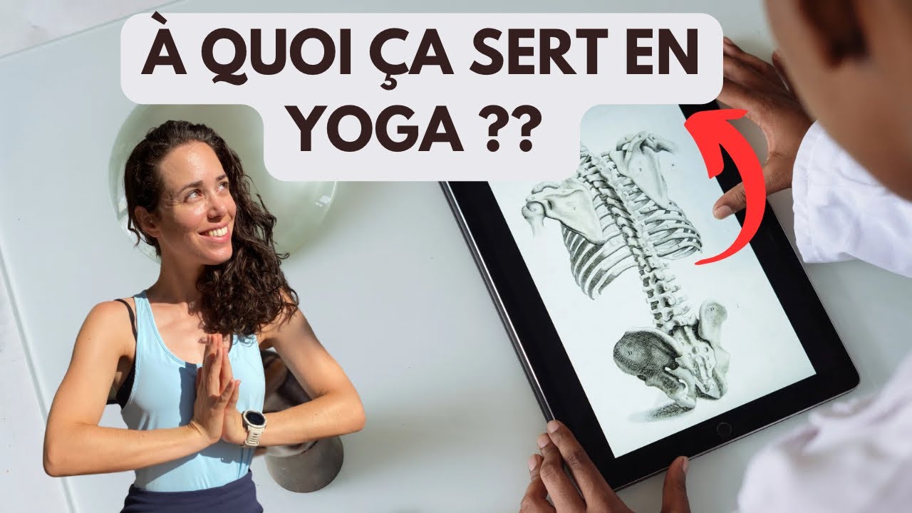 Pourquoi apprendre l'anatomie quand on est prof de yoga ?