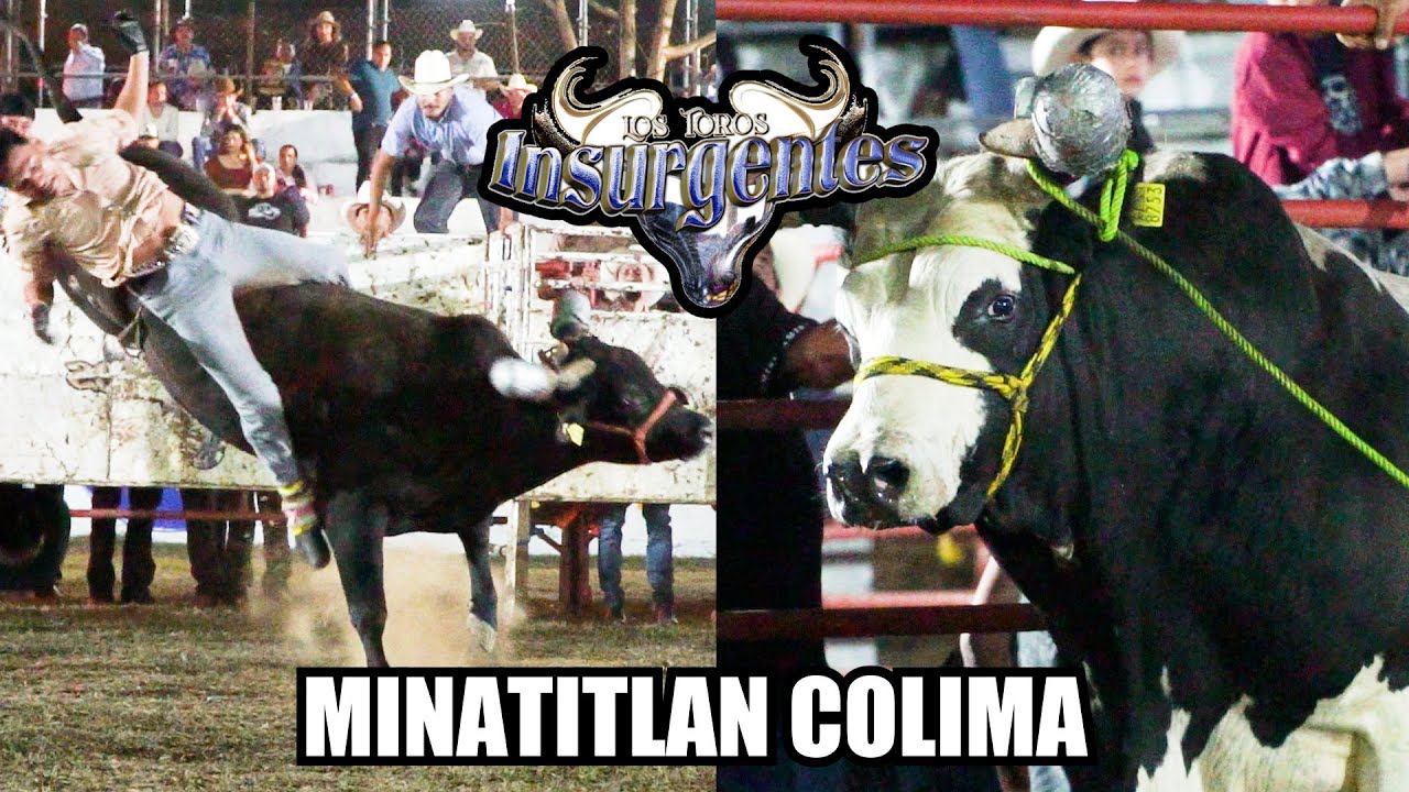 ¡ESTOS TOROS PUEDEN DERRIBAR HASTA EL MEJOR JINETE! RANCHO LOS INSURGENTE EN MINATITLAN COL 2026