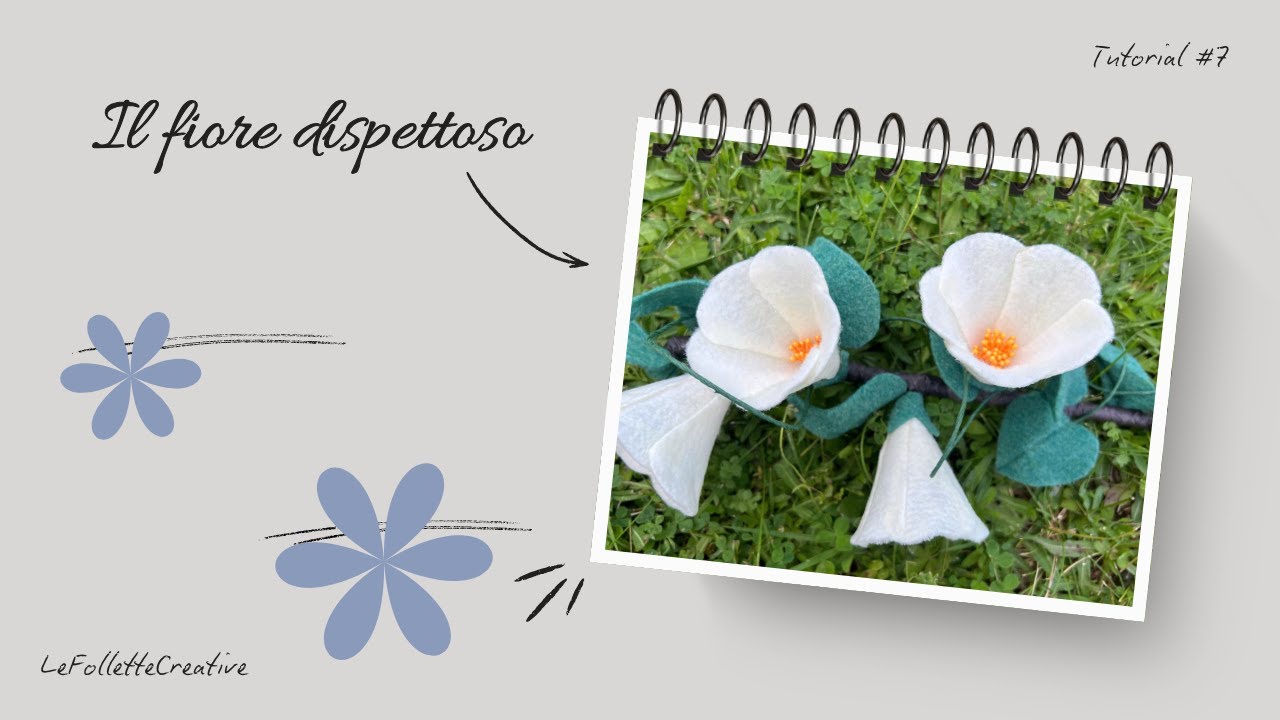Il fiore dispettoso … La Campanula