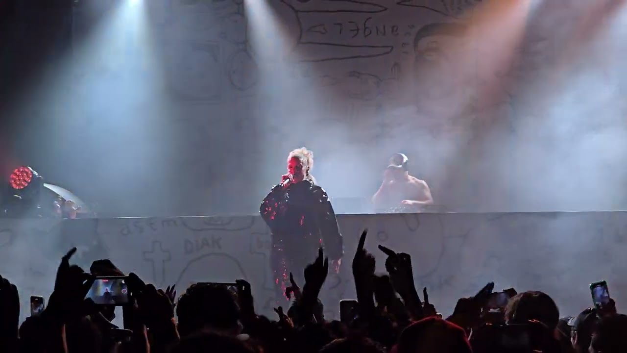 Die Antwoord  - Baby's on fire / Live at Guadalajara Mexico @ZEFRECORDZ November 10th 2024