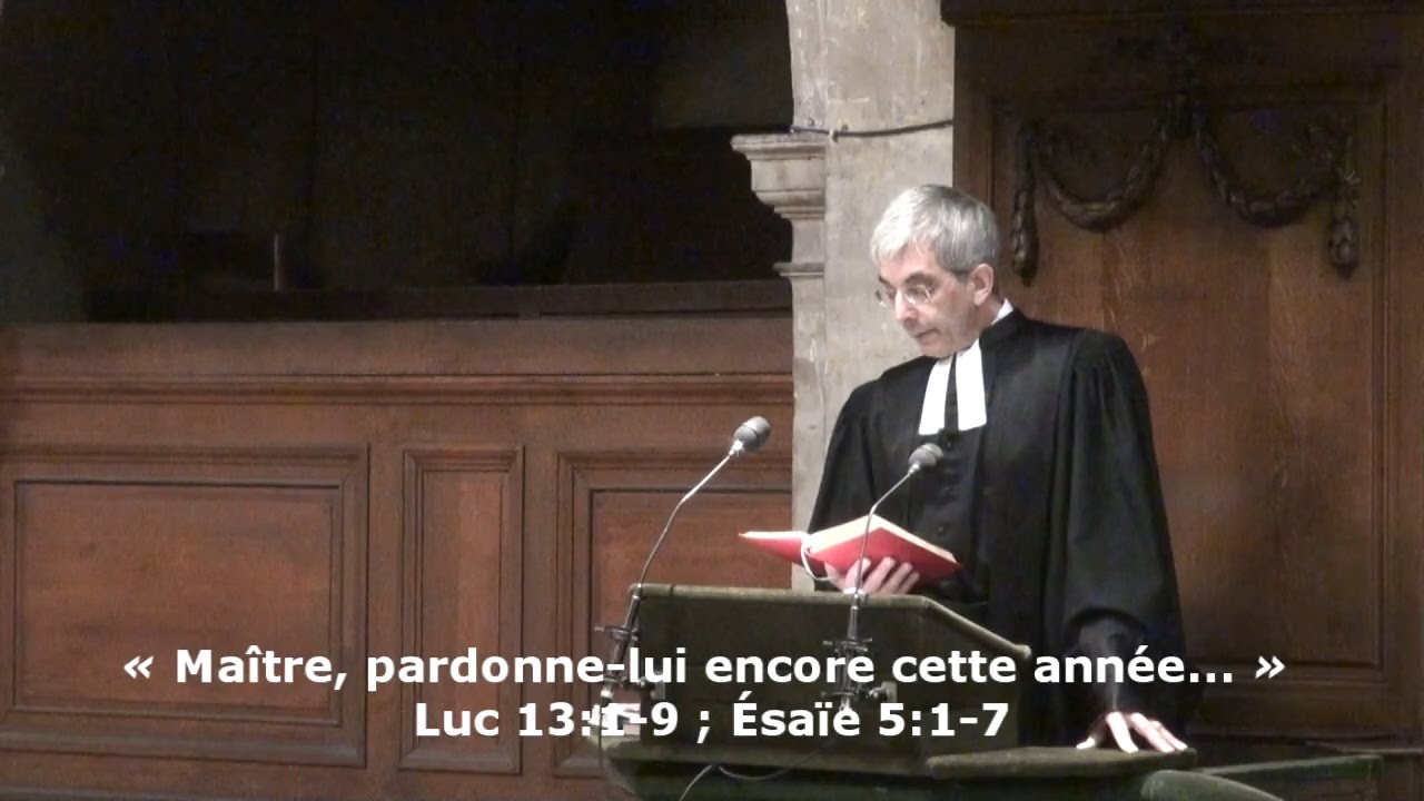 Pour le nouvel an : « Maître, pardonne-lui encore cette année... »  (Luc 13:1-9 ; Ésaïe 5:1-7)