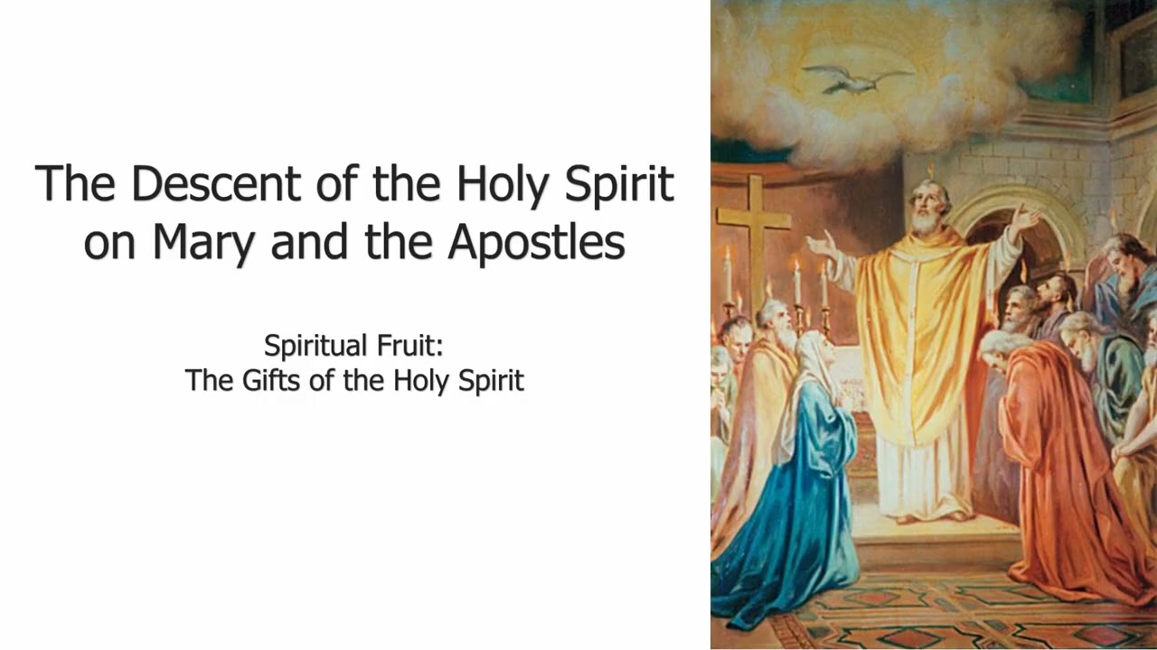 Rosary for February 15, 2026