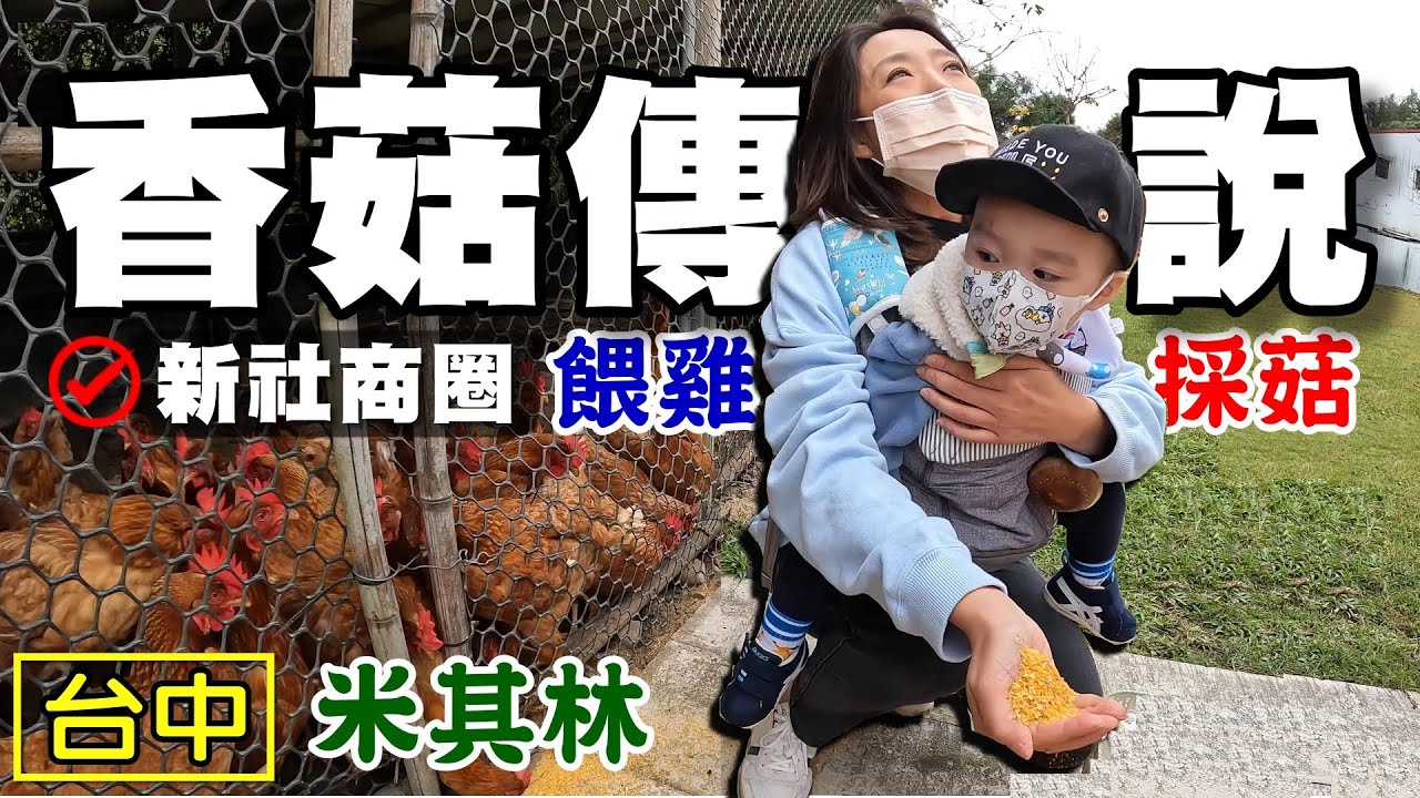 【新社 / 百菇莊 / 阿亮香菇園 / 菇神】 台中新社商圈 食農教育 採香菇 必比登 米其林