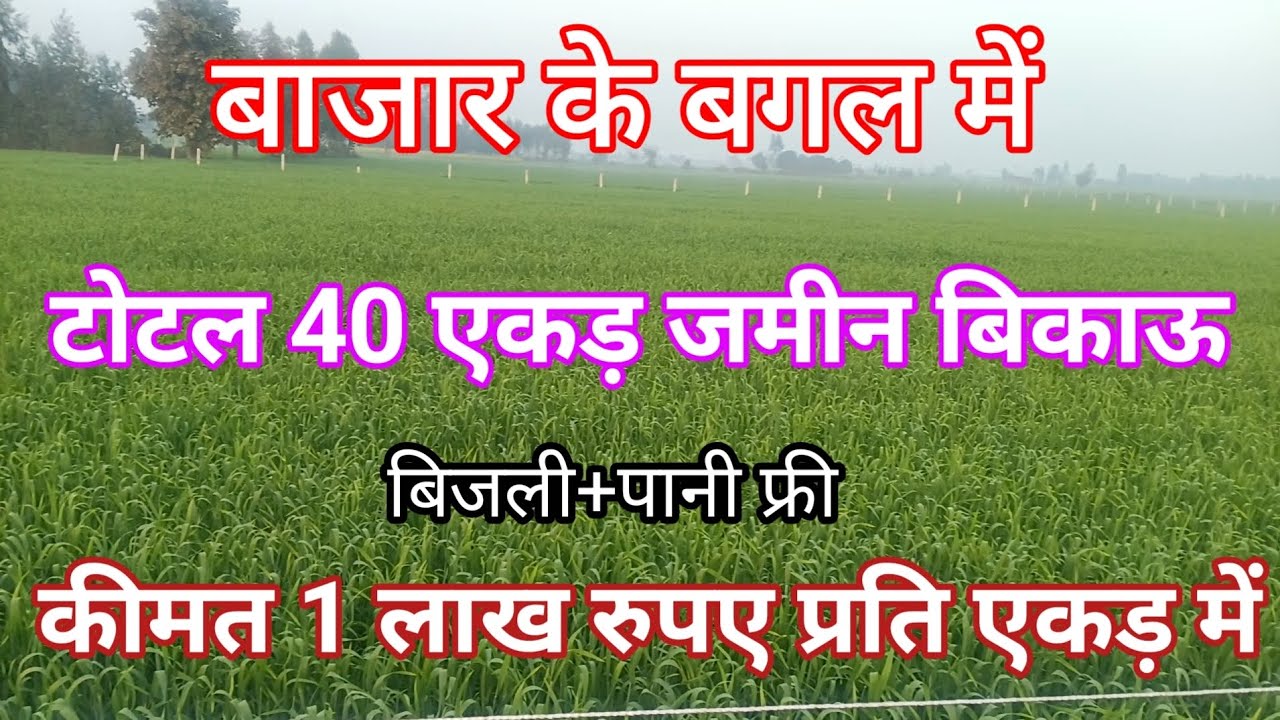 बाजार के बगल में टोटल 40 एकड़ जमीन बिकाऊ कीमत 1 लाख रुपए प्रति एकड़ में khet @Bikaujameenproperty 