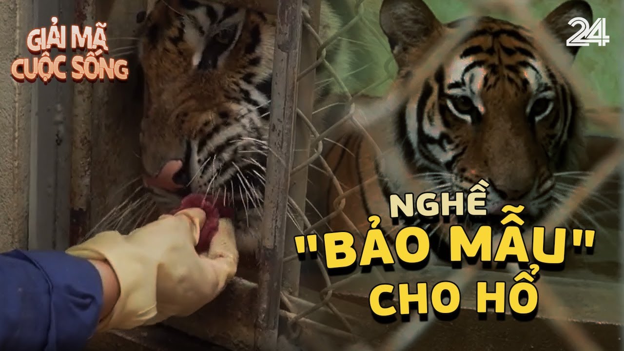 Nghề 