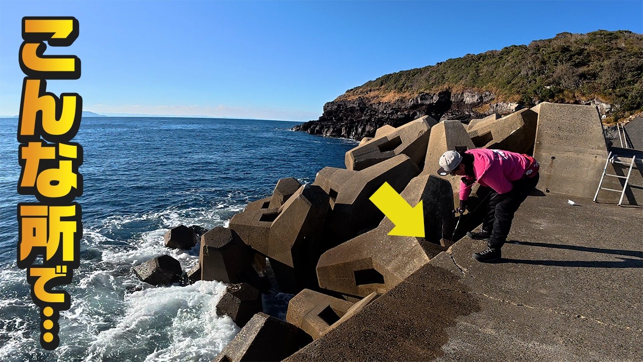 好きなように離島を満喫してみたら…