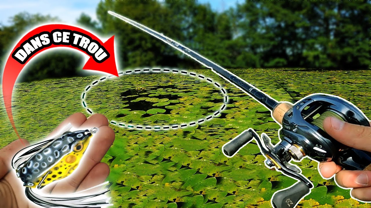 j'ai trouvé l'endroit parfait pour PÊCHER à la GRENOUILLE !? avec Bar D'ecume