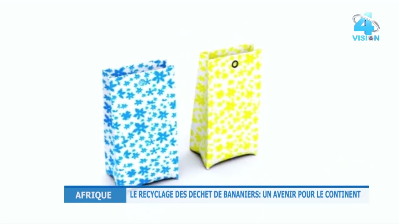 LE RECYCLAGE DES DECHETS DE BANANIERS
