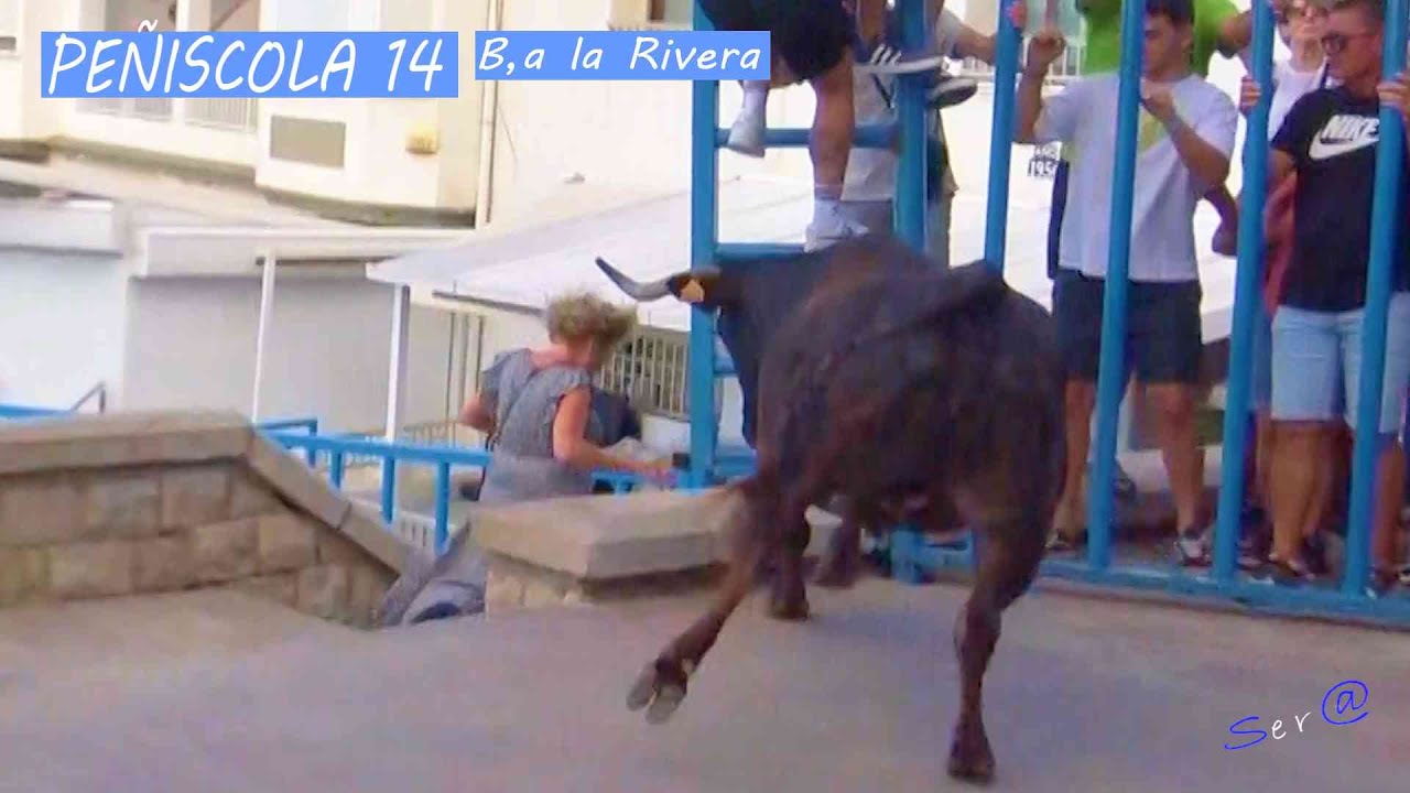 🟢2024 PEÑISCOLA 14 INTEGRO SEÑORA Mayor escapa del Toro