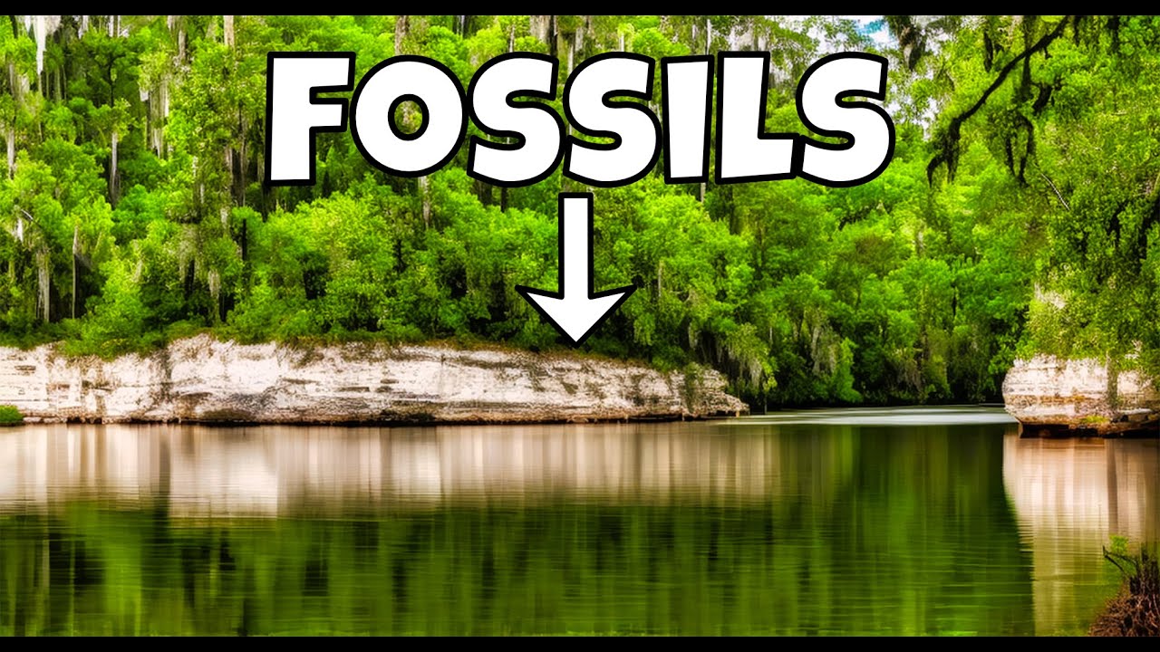 We Found LOADS of Fossil Sand Dollars, a Crystal Filled GEODE and Shark Teeth on the River Banks!