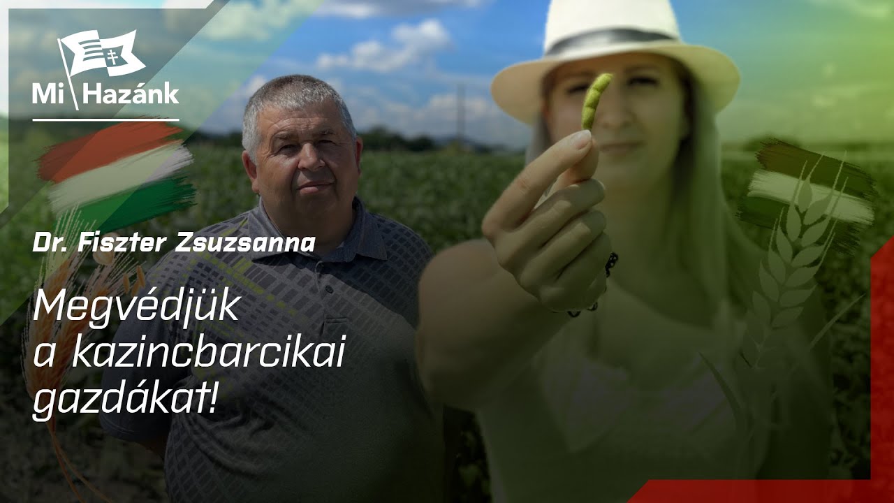 Kazincbarcikai termőföldeket sajátítana ki az önkormányzat
