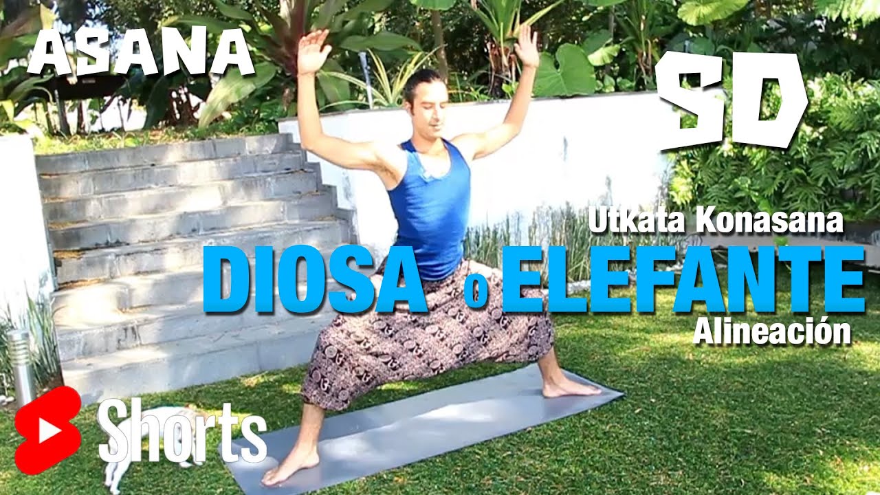 UTKATA KONASANA| POSTURA DE LA DIOSA| POSTURA DEL ELEFANTE