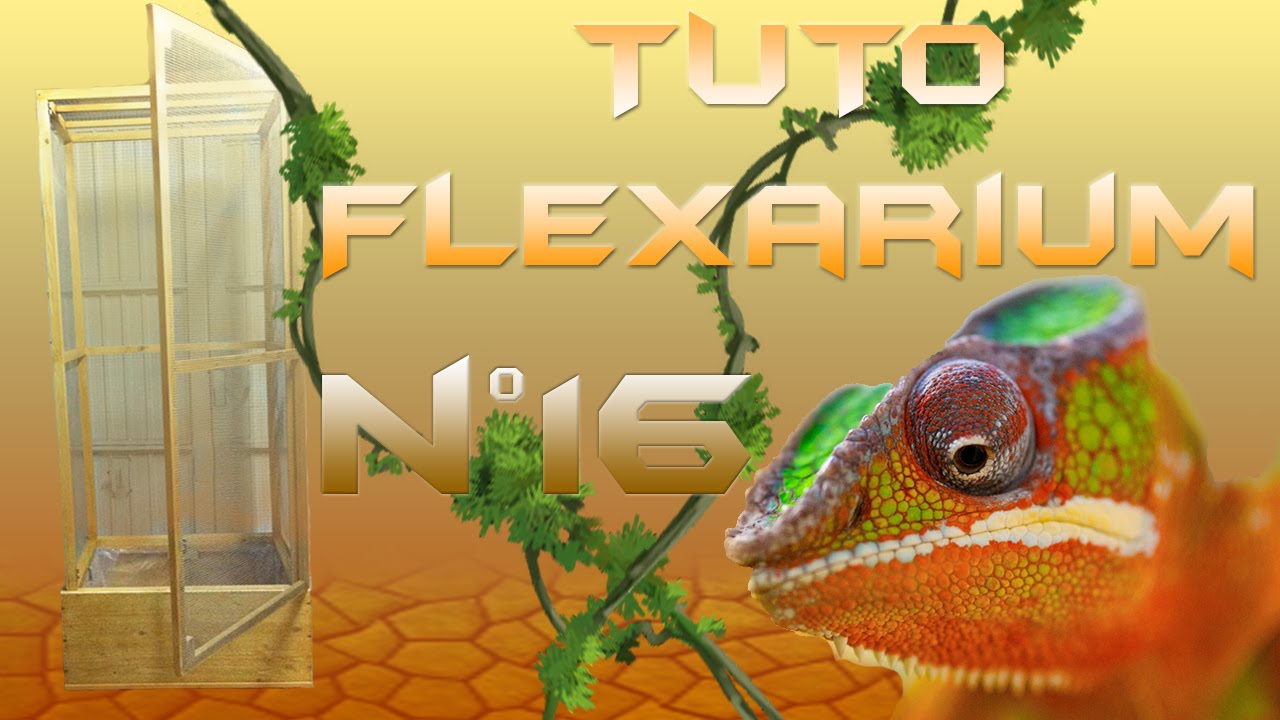 Tuto#16: Construction d'un Flexarium