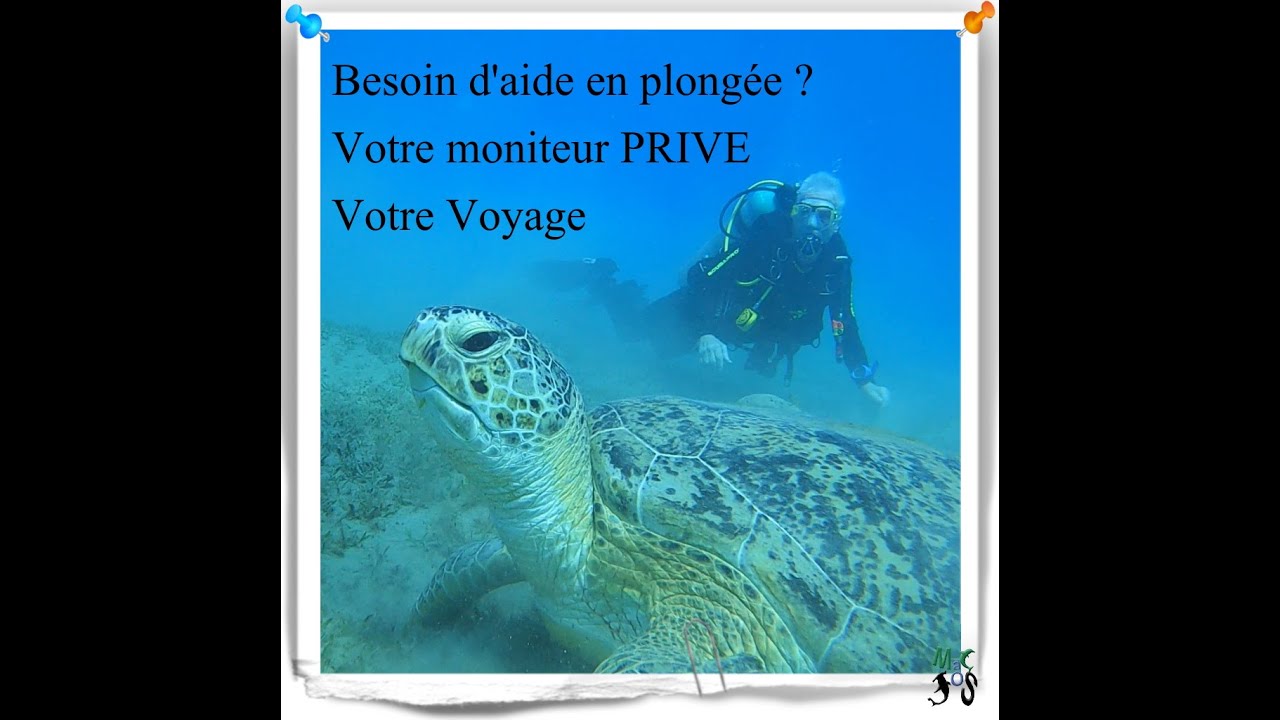 Plong&eacute;e MacJos : Voyage et encadrement plong&eacute;e priv&eacute;s
