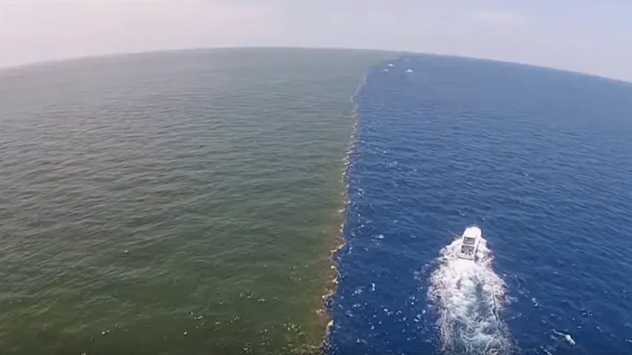 मिलके भी नहीं मिलते ये समुद्र| The phenomenon where different sea waters meet but do not mix