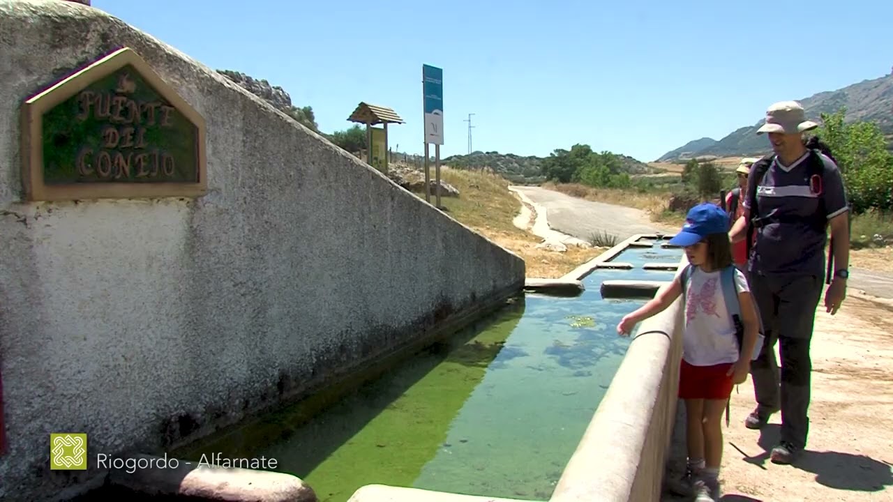 Gran Senda de Málaga. GR 249. Etapa 10: Riogordo – Alfarnate