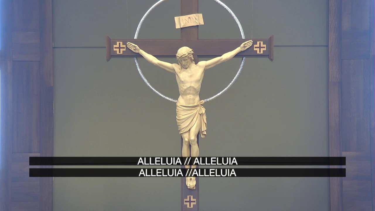 The Holy Echarist - Feb 15th, 2025
