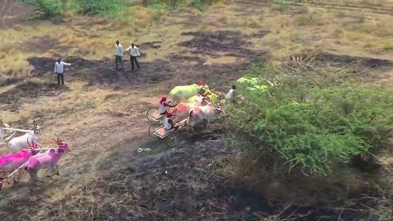 अर्जुनवाड ब गट बैलगाडी शर्यत बक्षीस 51000 गट 3 रा