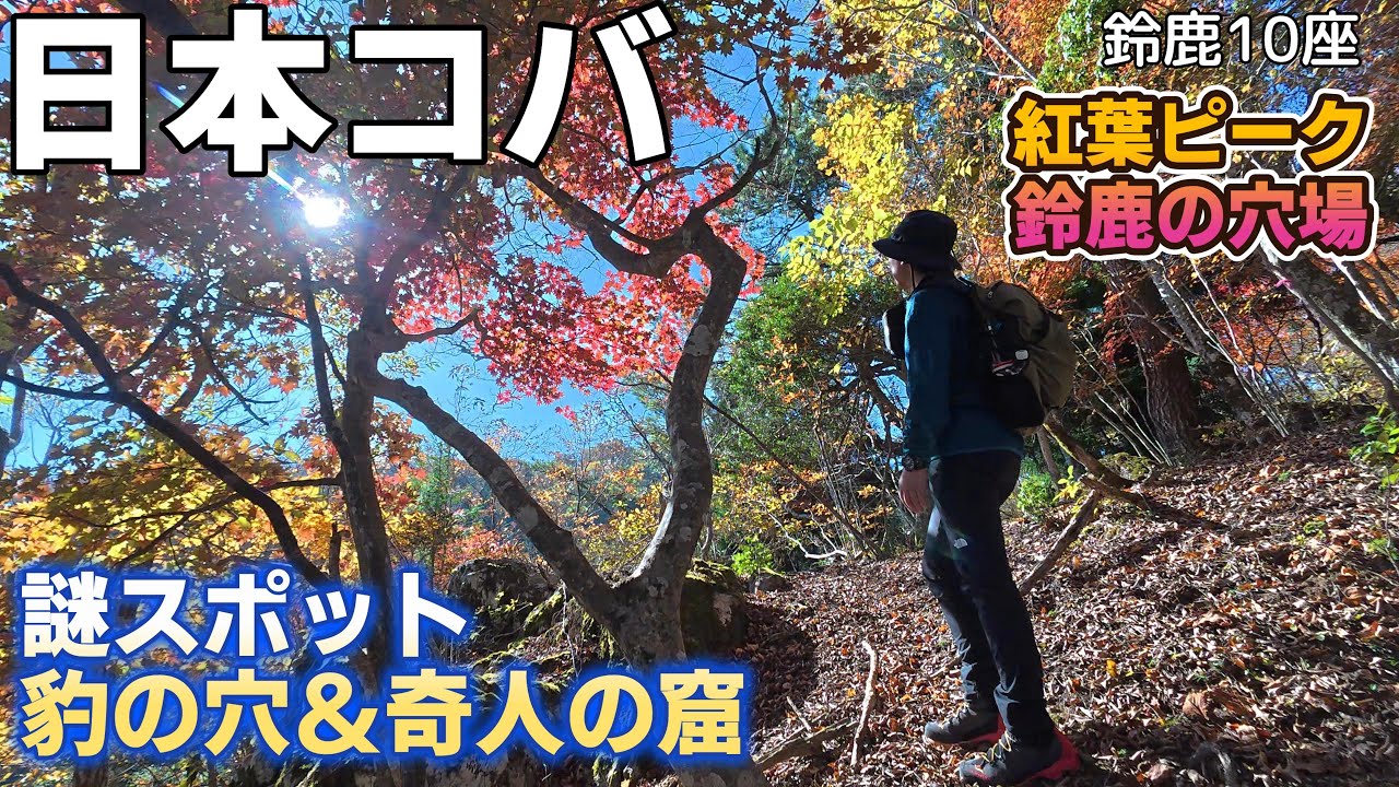 【鈴鹿の穴場】秘境すぎ！日本コバ｜紅葉が“宝石レベル”の名山だった！豹の穴・奇人の窟？不思議スポットに溢れる山｜シン・鈴鹿の上高地だ｜滋賀