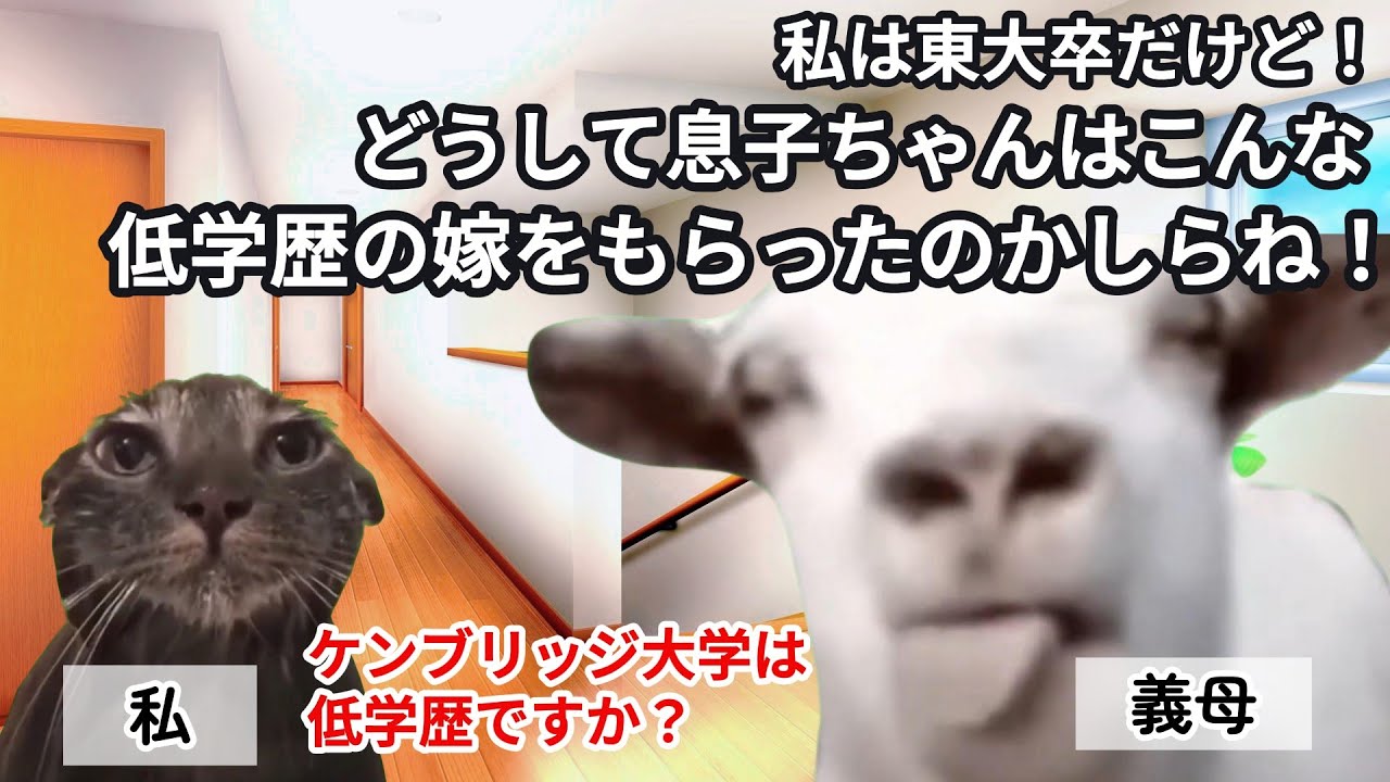 【スカッと猫ミーム】姑の東大自慢がウザイので私の卒業した大学名を言ってやると…#猫マニ #猫ミーム