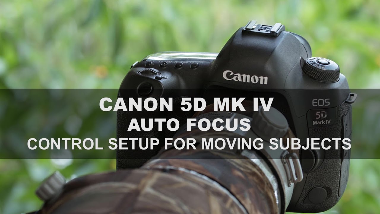 Canon 5D Mk IV — Автофокус: Часть 1/4 — Настройка управления для движущихся объектов