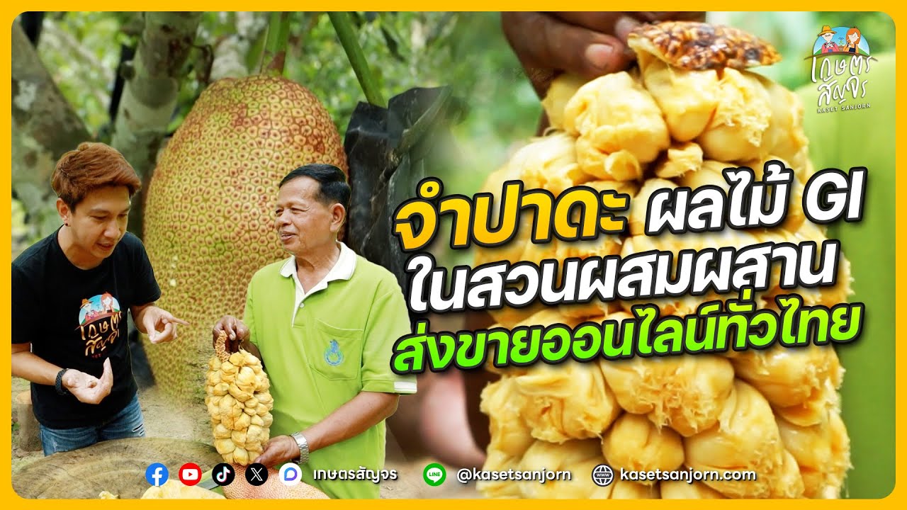 ปลูก 