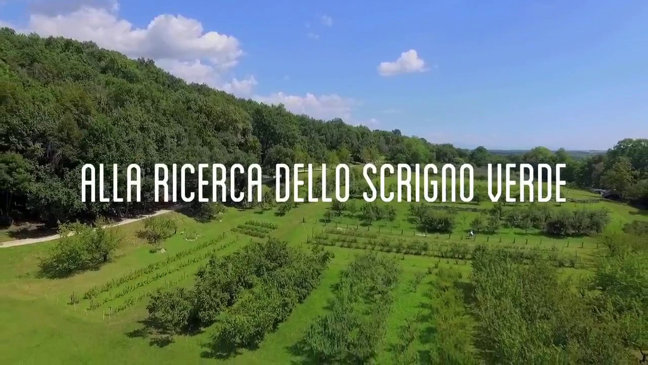 Polcenigo. Alla ricerca dello scrigno verde.