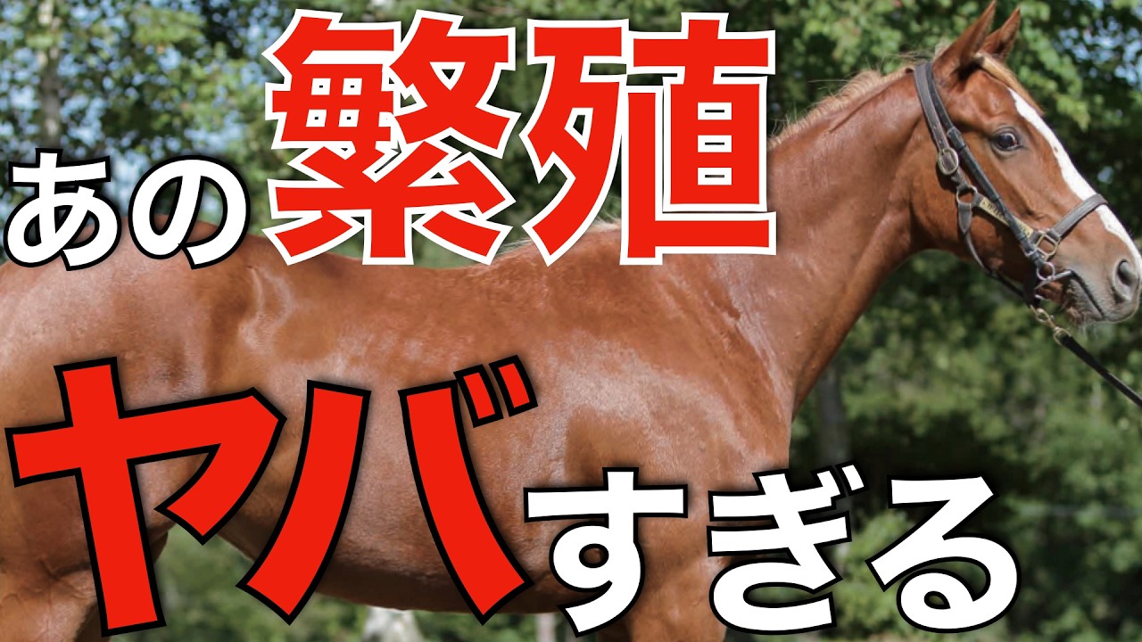 【衝撃】17頭中15頭が勝ち上がり！改めてこの繁殖牝馬はヤバすぎる。
