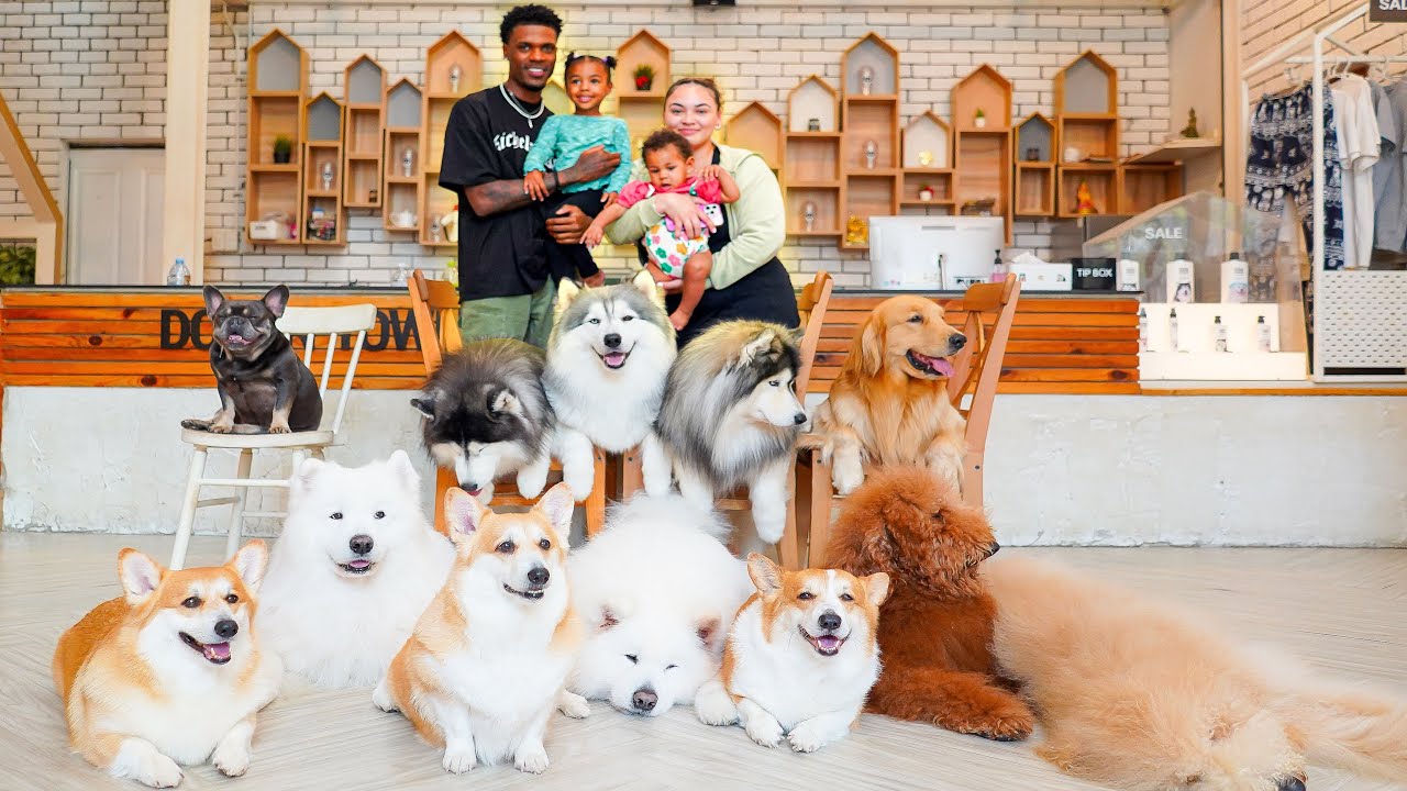 Visiting The Viral Bangkok Thailand Dog Cafe!!!